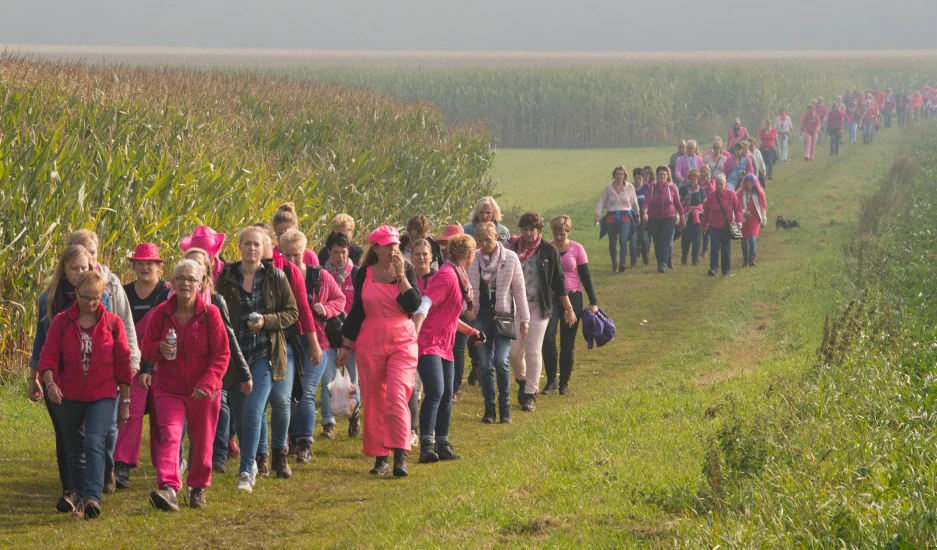 De Pink Walk wordt jaarlijks georganiseerd